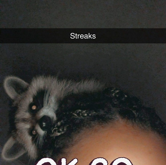 Meet your Posher, Dawn - Picture 1 of 1